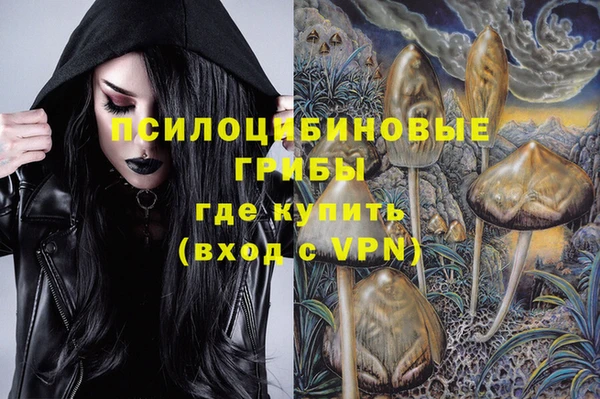 PSILOCYBIN Зерноград