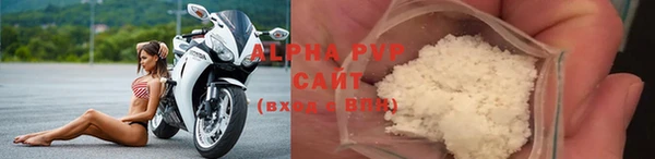 PSILOCYBIN Зерноград