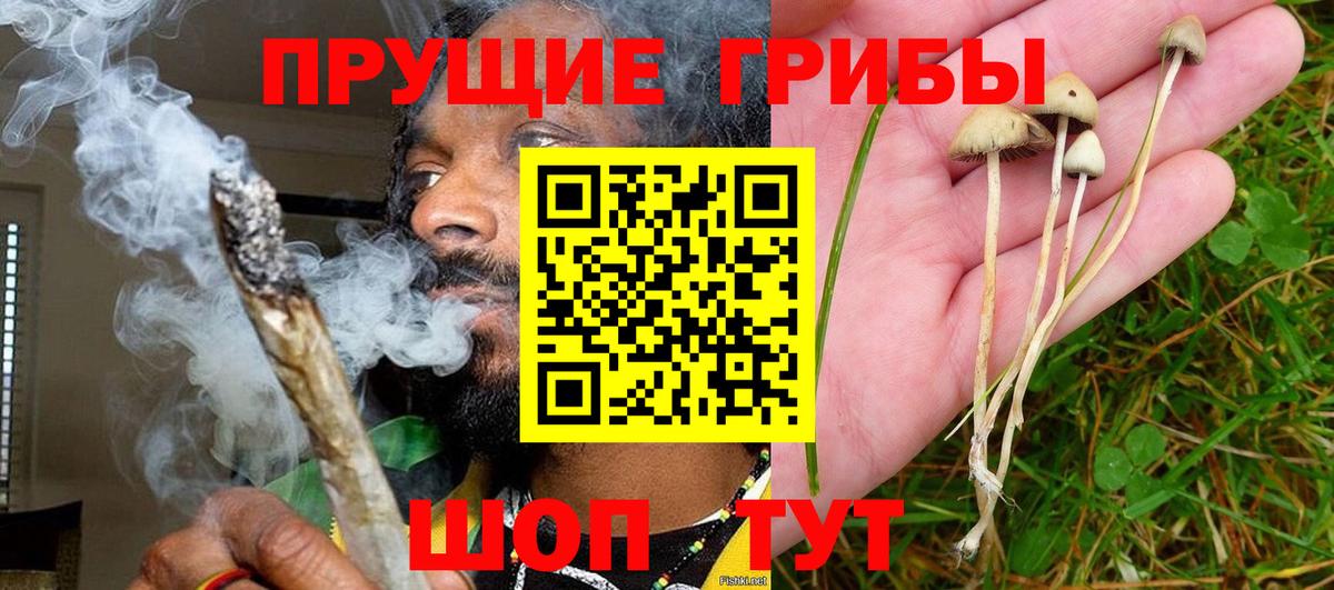 Галлюциногенные грибы Cubensis  Псилоцибиновые грибы GOLDEN TEACHER  Касимов  Вход с VPN 