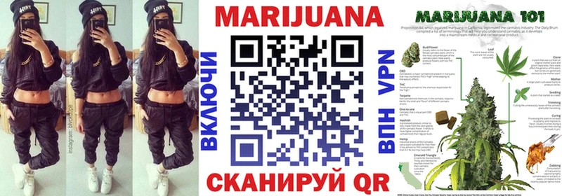 Бошки марихуана планчик  kraken зеркало  Касимов  где купить  